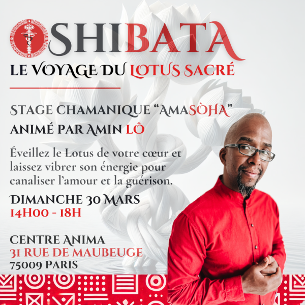 Initiation à l'Oshibata "Le Voyage du Lotus Sacré"